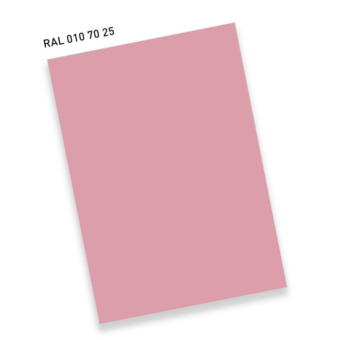 RAL 010 70 25 Flamingo pink